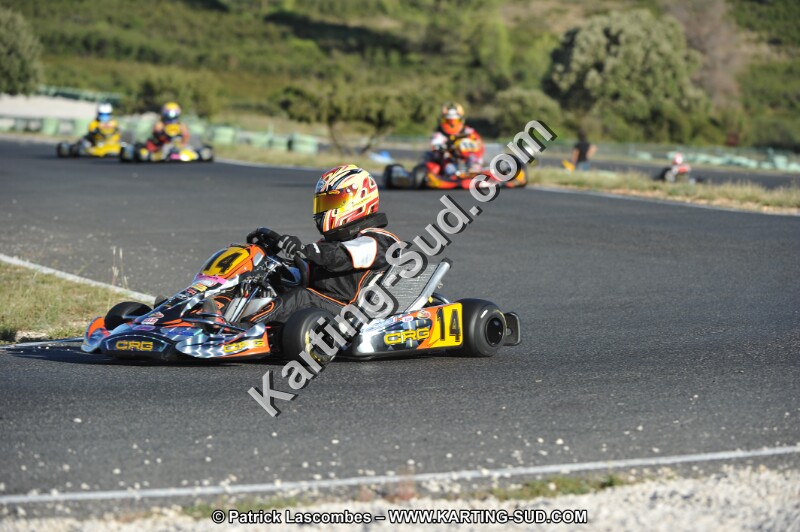 DSC (2175).JPG